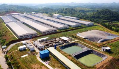 【记者乡村行（106）】崇阳：储肥还田   让农作物就近吃上“营养餐”