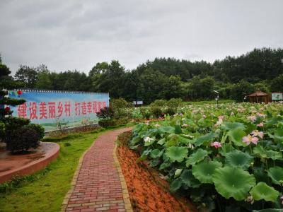 “治”出新颜值  “理”出新气象——肖岭乡肖岭村村理事会让美丽乡村顺“理”成章