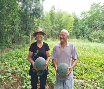 下基层 察民情 解民忧 暖民心│崇阳县桂花泉镇：爱心助农  让“滞销”变“热销”