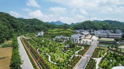 青山镇东流村：乡贤人才让昔日“穷山窝”飞出“金凤凰”