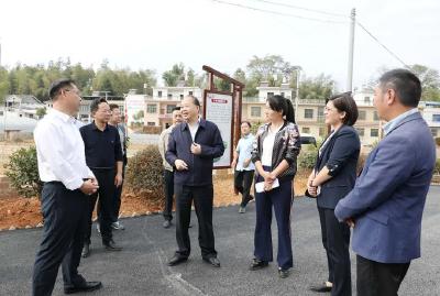省联合调研组到崇阳调研共同缔造、基层治理体制机制创新工作