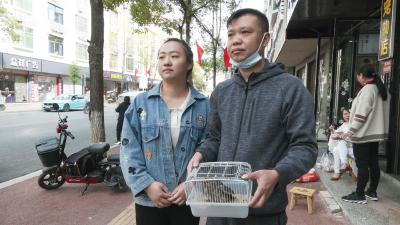 崇阳：受伤“大眼萌”巧遇热心市民，结局很暖心......  