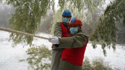 崇阳：让“青春之我”在抗疫一线“绽放芳华”