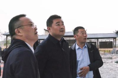 徐望赴部分乡镇调研督导巩固脱贫攻坚成果省后评估和共同缔造工作