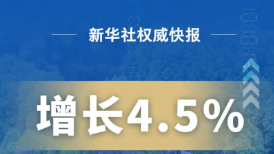 今年一季度中国GDP同比增长4.5%