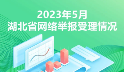 2023年5月湖北省网络举报受理情况