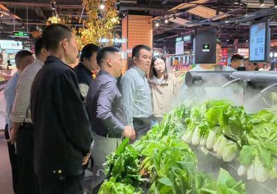 市检查组到崇阳县督导国家食品安全示范城市创建工作