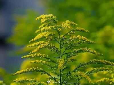 紧急提醒！发现请立即上报