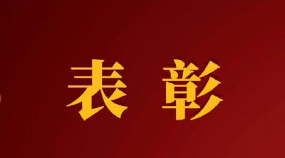 全省通报！​崇阳2人获表彰