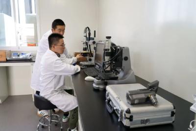 三星堆人与现代欧洲人基因相似？| 三星堆问答