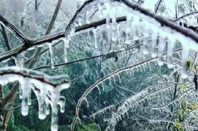 湖北应对低温雨雪冰冻灾害一线扫描