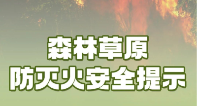 如何防范森林火灾？遇到火灾如何避险自救？这份安全提示请收下 