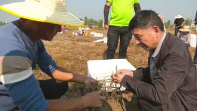 【见证辉煌】庆祝全国人民代表大会制度建立70周年系列报道之二丨梅军：社区“领头雁”   为民“大情怀”