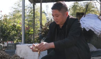 【见证辉煌】庆祝全国人民代表大会制度建立70周年系列报道之八 | 熊超：把履职尽责播撒在乡村热土上