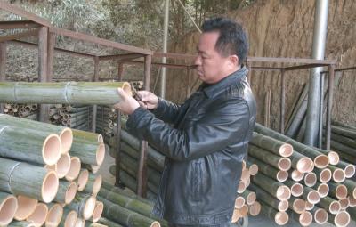 【见证辉煌】庆祝全国人民代表大会制度建立70周年系列报道之九 | 汪锦旋：依托竹产业 共铺致富路