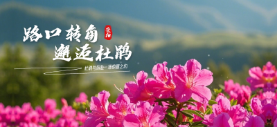 微视｜崇阳：路口转角 邂逅杜鹃