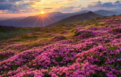 汪文斌晒出武汉一张图，震撼全球网友