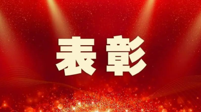 崇阳1集体获全国表彰