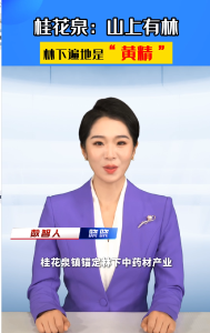 桂花泉：山上有林 林下遍地是黄精