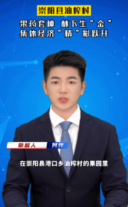 崇阳县油榨村：果药套种林下生“金” 集体经济“精”彩跃升