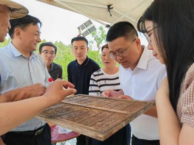 从“案头”到“地头” 从“知见”到“躬行”——远安青年干部在实践淬炼中拔节成长