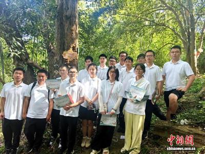 【媒体看崇阳】准大学生认养古桂花树记乡愁