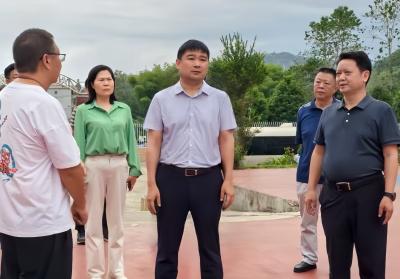 徐望调研重点项目建设工作时强调：优化服务破解难题    推动项目建设提速增效