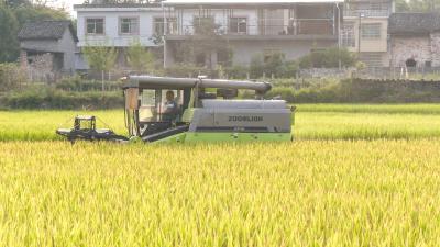 崇阳：小田块也尽显“科技范”  机械收割效率高