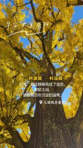 【微视】早安·大美崇阳