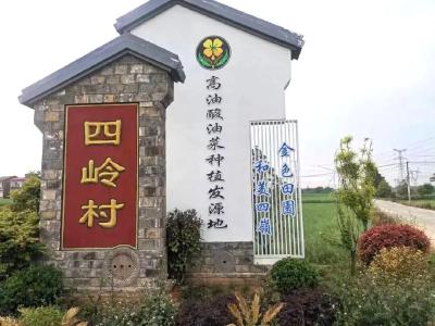 学习贯彻党的二十届四中全会精神·一线见闻丨掇刀区人武部、掇刀区农业农村局乡村振兴驻村工作队帮扶四岭村侧记