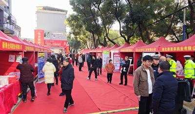 崇阳经济开发区2026年“企业好物”新春年货展举行