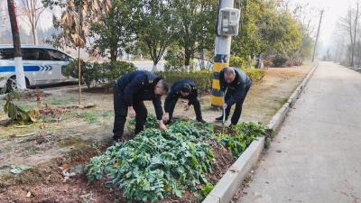县城管执法局：整治“毁绿种菜” 还“绿”于民