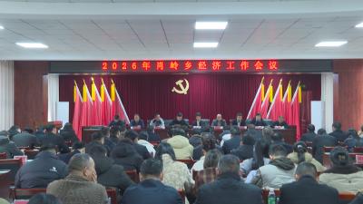 肖岭乡、沙坪镇、桂花泉镇认真贯彻落实县委经济工作会议精神