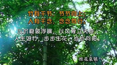 【微视】早安·大美崇阳