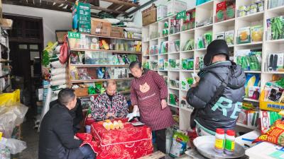 崇阳：春耕购种迎高峰 农资市场购销旺