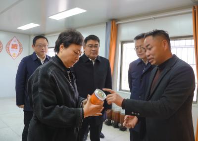 张远梅到崇阳调研一季度开好局起好步工作时要求 做实“三篇文章” 壮大县域经济