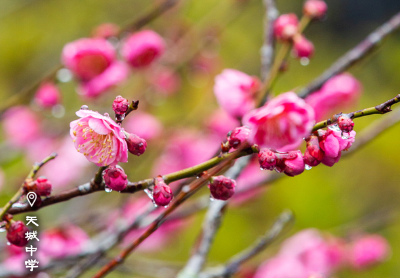 【海报】早安·大美崇阳