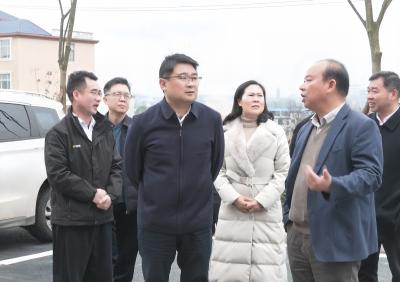 徐望调研重点项目建设工作 现场办公解难题 提速攻坚促发展