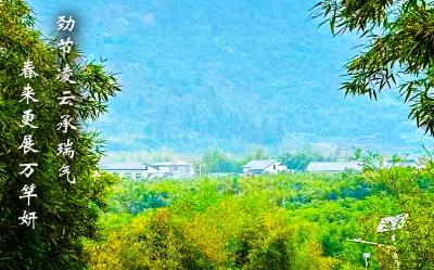 【海报】早安·大美崇阳