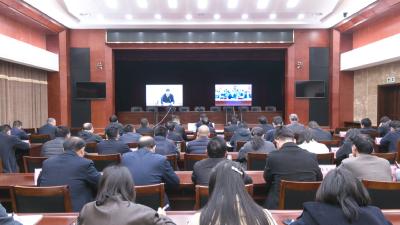 我县组织收视收听全市审计工作电视电话会议