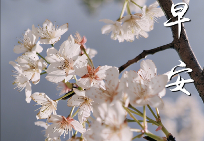 【海报】早安·大美崇阳