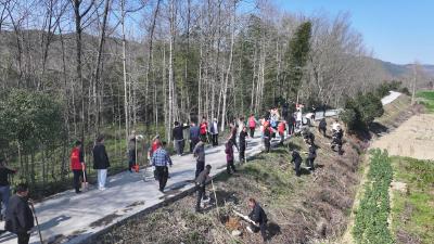 共赴“绿色之约”！崇阳县港口乡与省社科院携手种下600株桃树