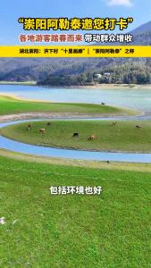 “崇阳阿勒泰”火爆出圈！各地游客踏春而来，带动群众增收