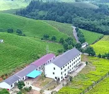 【微视】早安·大美崇阳