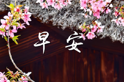 【海报】早安·大美崇阳