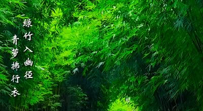 【海报】早安·大美崇阳