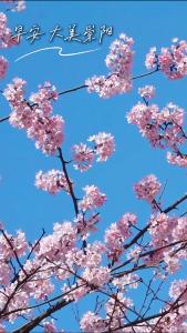 【微视】早安·大美崇阳