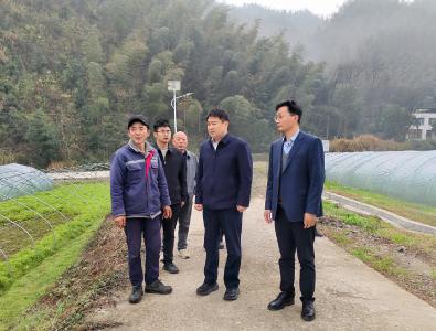 徐望：深耕返乡创业沃土 因地制宜发展特色经济