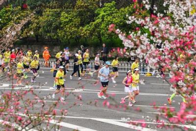 从“客场”到“主场”，读懂武汉文旅“朋友圈”扩容背后的经济逻辑