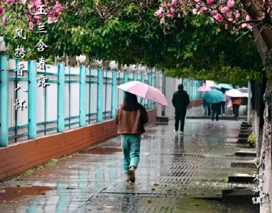 【海报】早安·大美崇阳